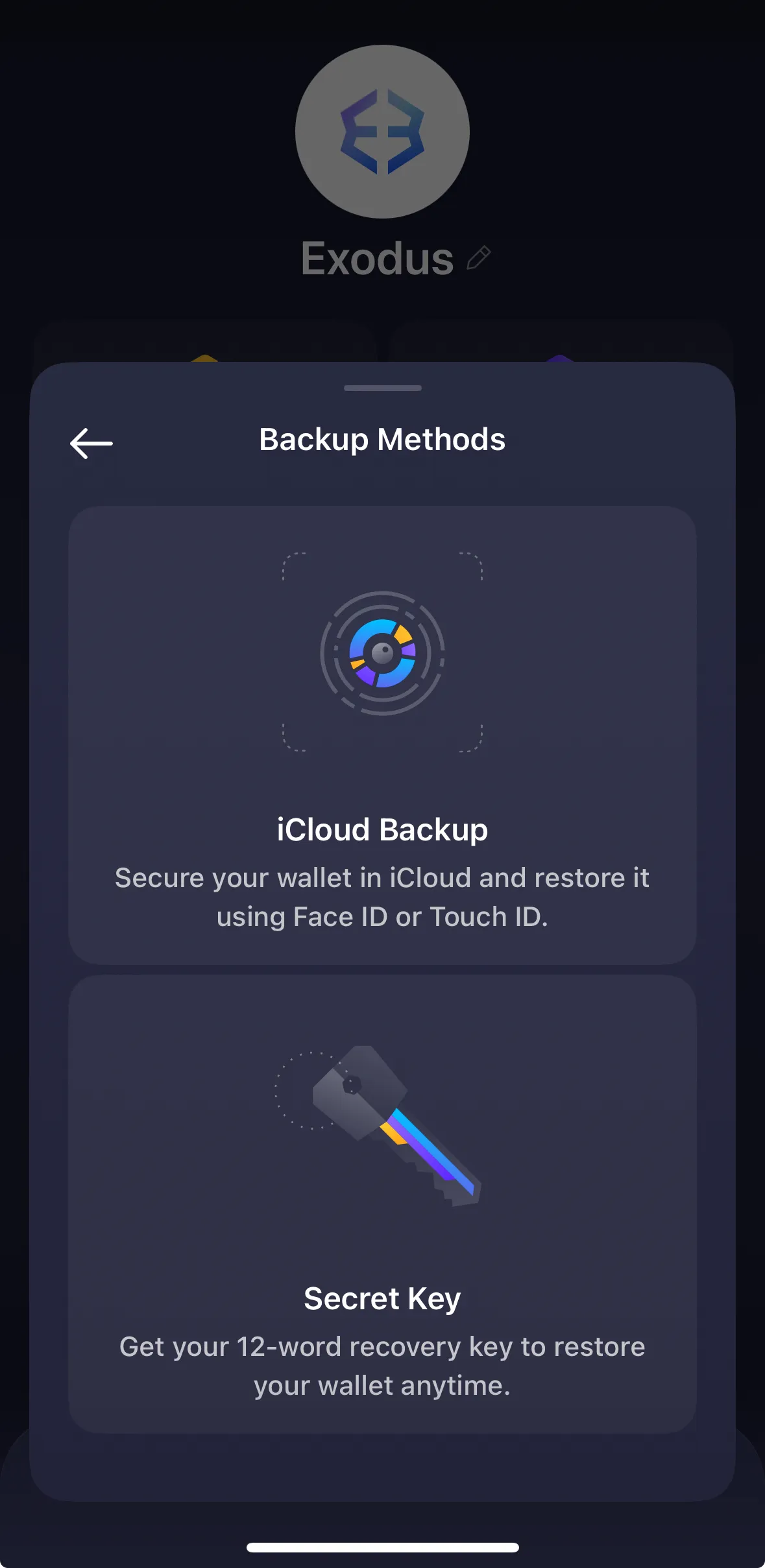exodus-ios-25.43.16-0a663dcd.jpg