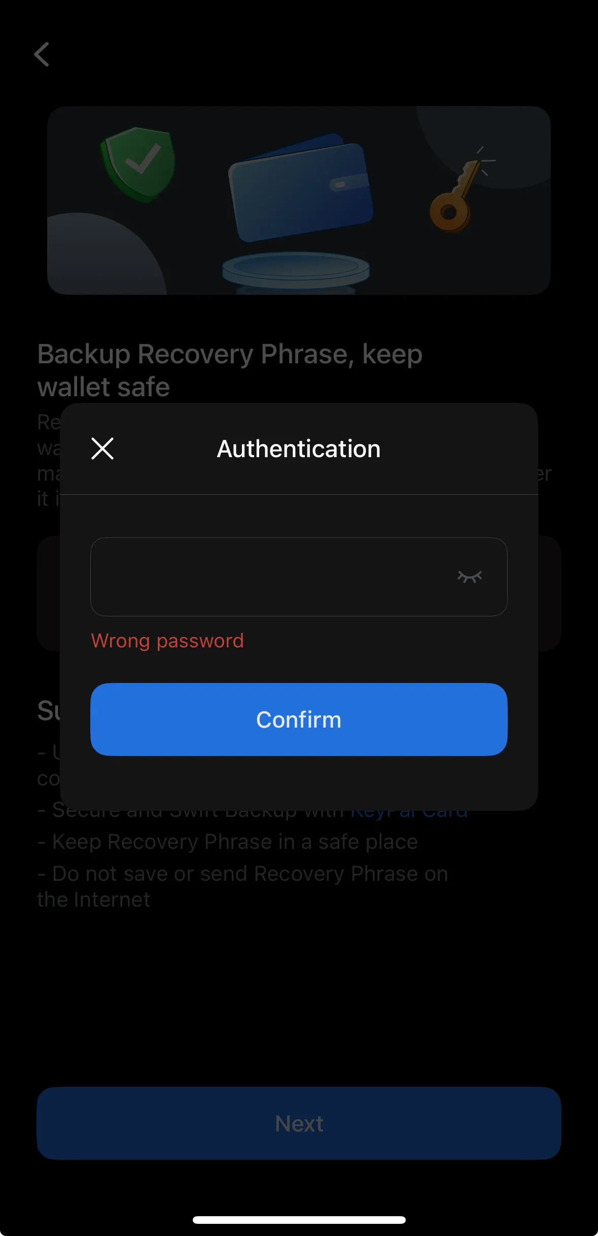 token-pocket-ios-2.11.1-b8e4290c.jpg
